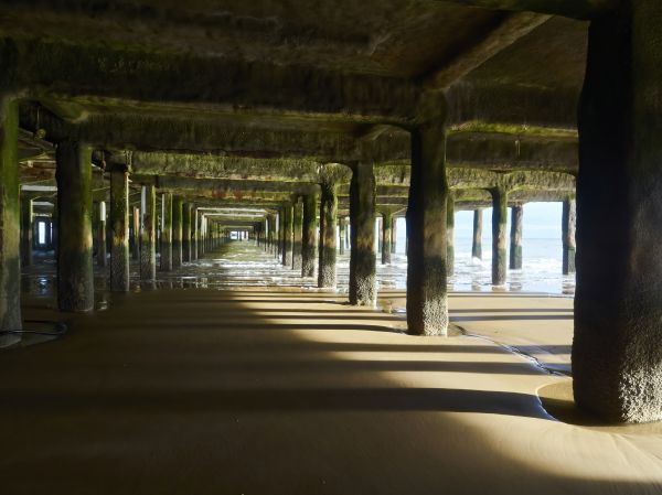 Concrete Pier Repair in Brooksville